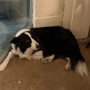 세편들6 | 그녀의 수상한 소개팅 ⑦