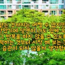 [2026 살아나는 아침 살리는 하루]58번째 아침 묵상 - 고린도후서 10장(feat.삼남매) / 유은성의 '오해' 이미지