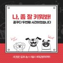 독핏코리아 이미지