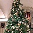 천성대항길 이미지