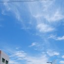 평해시장 이미지