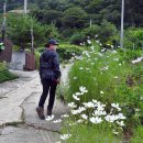 정수궁마을회관 이미지