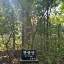 잣밭산 봉명산 마고산 석화산 경북문경[24.10.09] 이미지