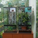 승권씨네순대국 이미지