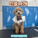 인물나개 이미지