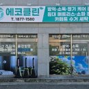 에코클린 침대소파카페트 울산본점 이미지