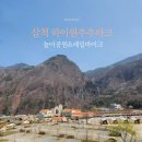 CU삼척도계으뜸점 | 삼척 하이원추추파크 레일바이크(예약, 놀이공원)