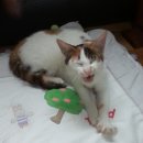 부영(아) 이미지