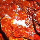 독서논술지도사(2급) 이미지