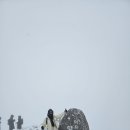 데굴데굴 이미지