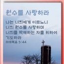 흰고래참가자미횟집 | 귀경길에 쓰는 블챌 서이추환영 제발