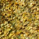 청호스크린골프 이미지