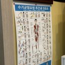 (주)엠디 | [공주/피부관리] ‘스킨엠디코스’ 전신 에너지테라피 솔직후기💆‍♀️