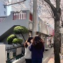 진한우포크 이미지