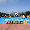 영남인삼