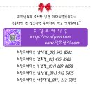 천호해운 이미지
