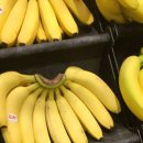 다이어트119GYM 이미지