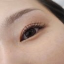 반송로 30~고분로13번길 25 | 연산동 속눈썹 연장 LED연장 내돈내산 후기 :: 자연스러운 연산동 LED속눈썹연장 추천