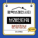 센텀누리부동산공인중개사사무소 | 평택 브레인타워 분양정보 브레인시티 상가 코너 핵심 입지
