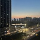 제플린푸드