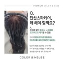 컬러앤하우스 네이버블로그