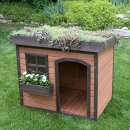 Brown house 이미지