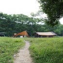 초원 숲속 야영장 이미지