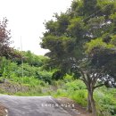 본황회관 이미지