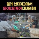 남미사랑 투어 마지막날 칠레 산티아고 cousino macul 와이너리 투어 후기
