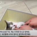 갑수C 네이버블로그