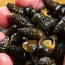 성진푸드 이미지