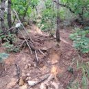 청구약수터 이미지