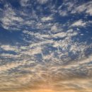 남해 인도마리 펜션 이미지