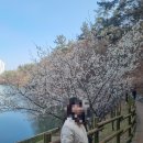 사라수변공원 이미지