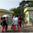 음악이 있는 힐링원예 이미지