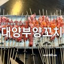 대양부양꼬치 - 구리시 동구릉로 108 | 대양부양꼬치