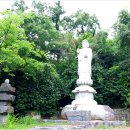 청용사 - 김제시 | 청용사