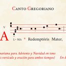 Alma Redemptoris Mater 이미지
