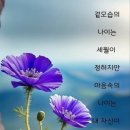 응용..언습중...// 이미지