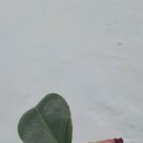 지산 축산 이미지