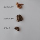 몰디브태닝의정부역점