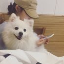 달중이네 펫호텔 이미지