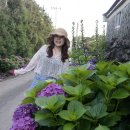 안성리-6 이미지