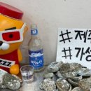 동해센타 이미지