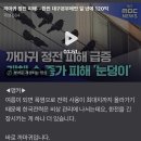 까마귀 정전 피해···한전 대구본부에만 일 년에 120억 이미지