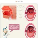 J2088 이미지