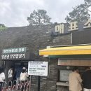 순천만풍경 | 5월 순천 가볼만한 곳 순천 여행 순천만국가정원 만족한 후기