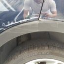 태평양카독크 이미지