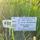 울산공원묘지공사