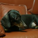 개포신원공인중개사사무소 이미지